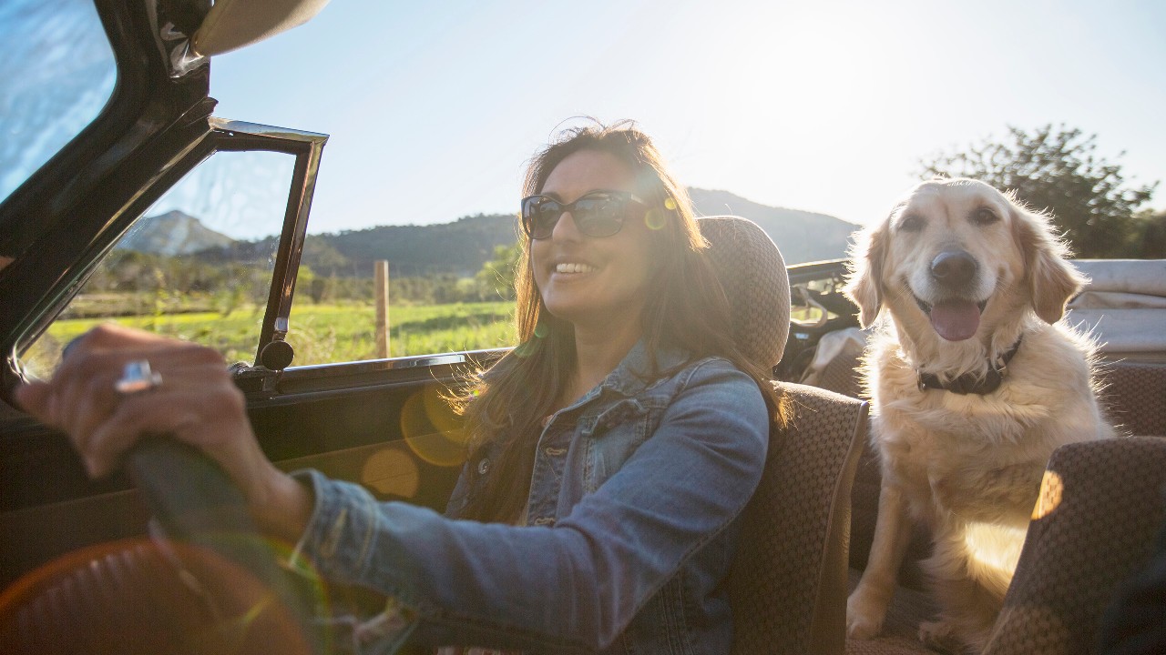 A woman and a dog in car; image used for HSBC Credit Card to Travel.
