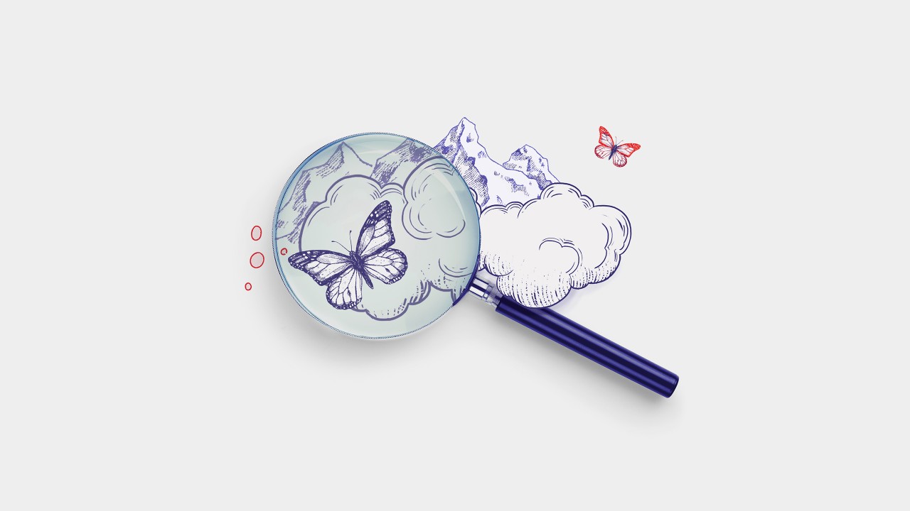 A magnifying glass with butterfly; image used for HSBC India Premier Platinum Debit Card page