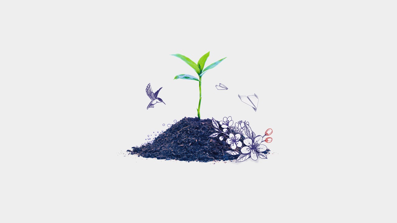 A plant growing in mud; image used for HSBC India Premier financial planning for growing family's wealth section